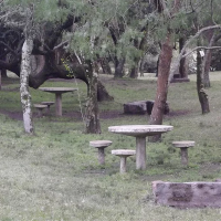 Parrilleros mesas y bancos para un perfecto picnic
